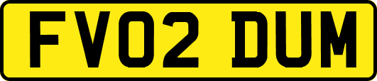 FV02DUM