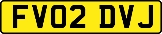 FV02DVJ