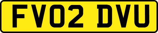 FV02DVU