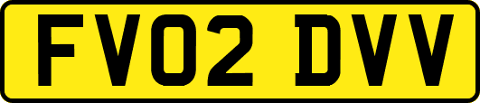 FV02DVV