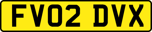 FV02DVX