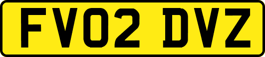 FV02DVZ