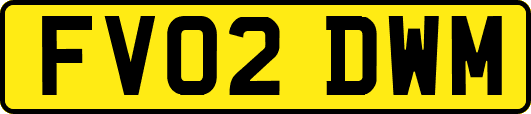 FV02DWM