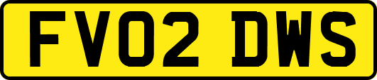 FV02DWS