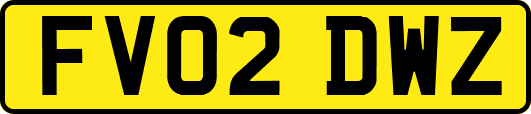 FV02DWZ
