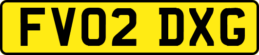 FV02DXG