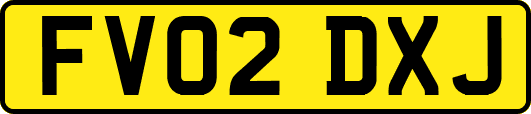 FV02DXJ