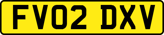 FV02DXV