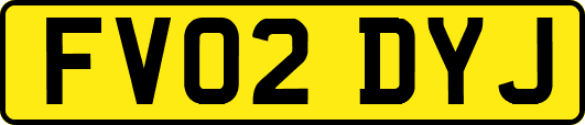 FV02DYJ