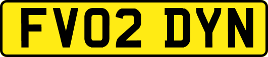 FV02DYN