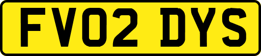 FV02DYS