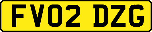 FV02DZG