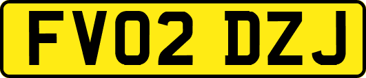 FV02DZJ