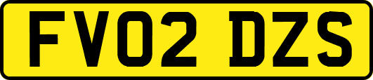 FV02DZS