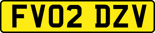 FV02DZV