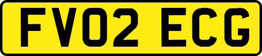 FV02ECG