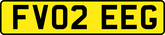 FV02EEG