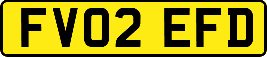 FV02EFD