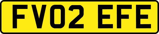 FV02EFE