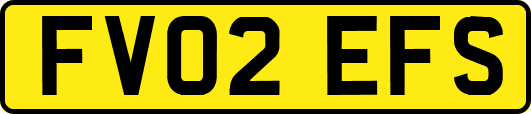 FV02EFS