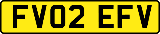 FV02EFV