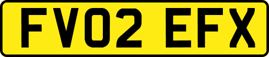 FV02EFX