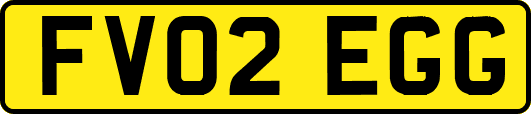 FV02EGG