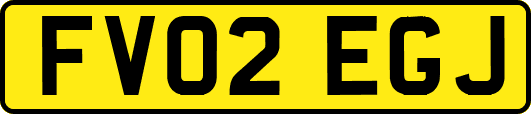 FV02EGJ