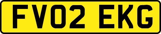 FV02EKG