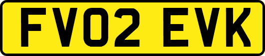 FV02EVK