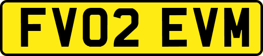FV02EVM