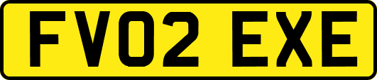 FV02EXE