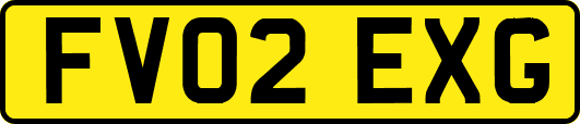 FV02EXG