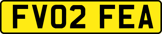 FV02FEA
