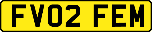 FV02FEM