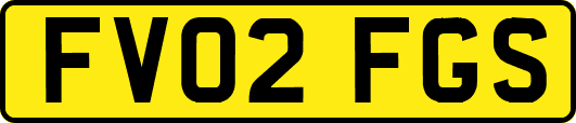 FV02FGS