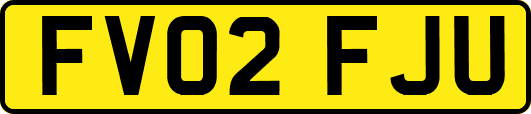 FV02FJU