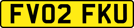 FV02FKU