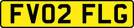 FV02FLG