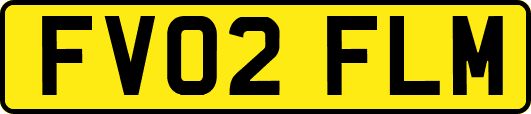 FV02FLM