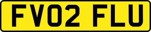 FV02FLU