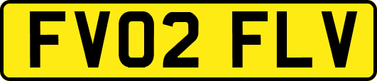 FV02FLV