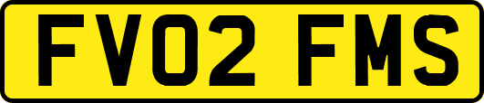 FV02FMS