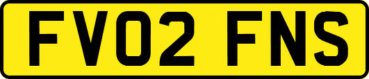 FV02FNS