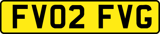 FV02FVG