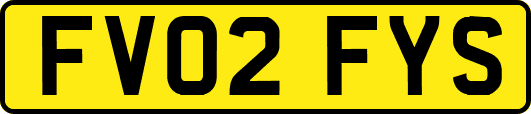 FV02FYS