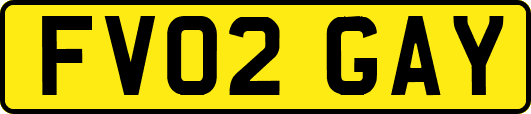 FV02GAY