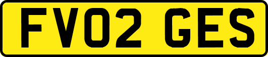 FV02GES