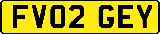 FV02GEY