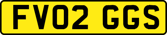 FV02GGS